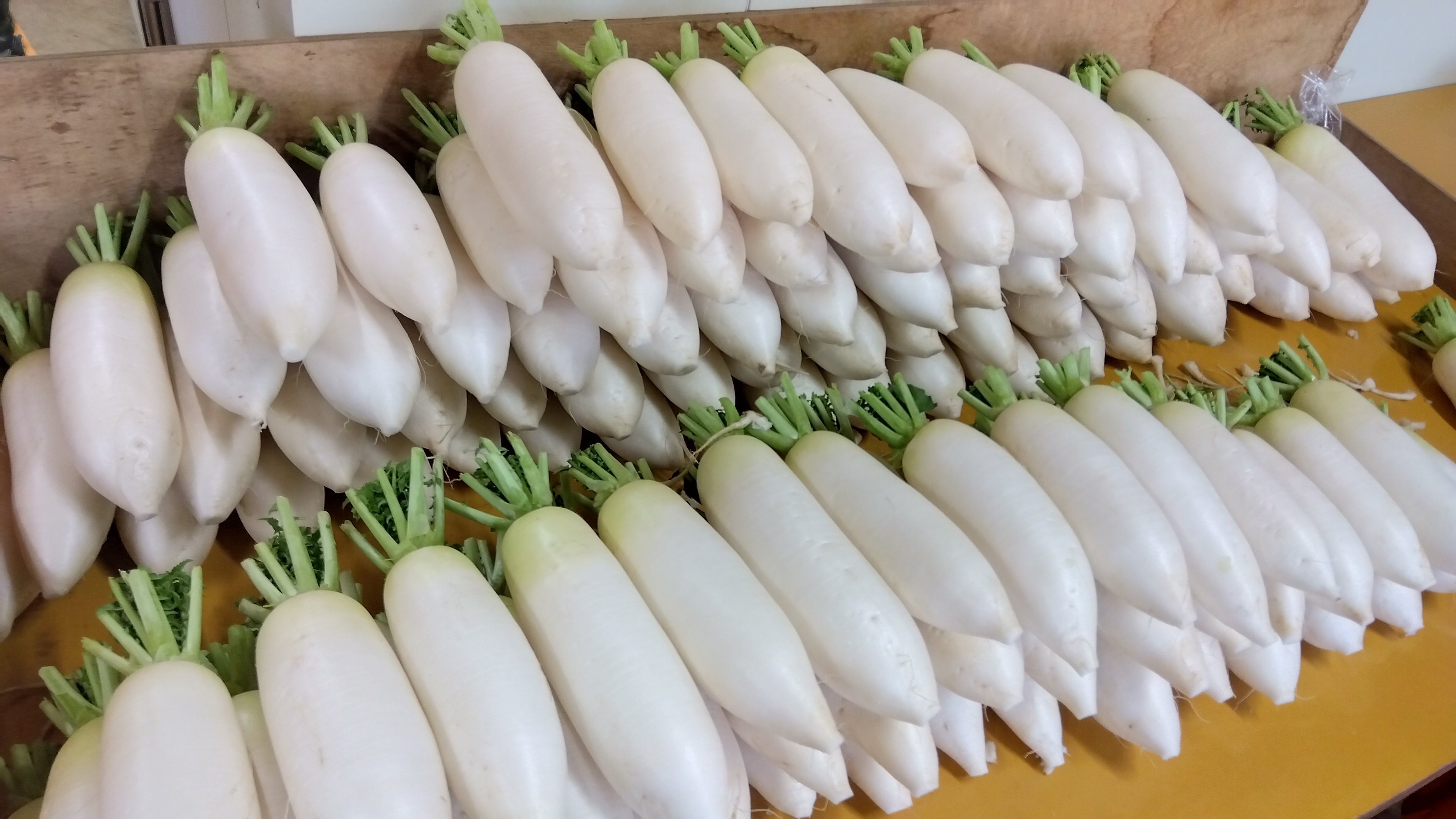 やさいバス/三太郎大根