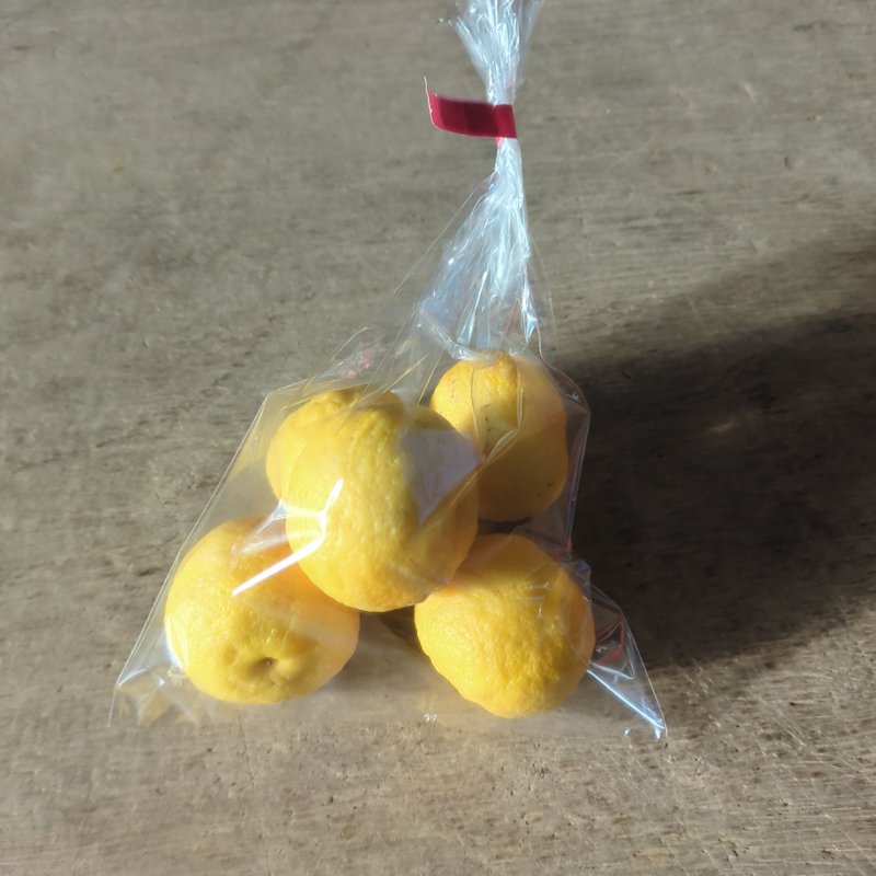 やさいバス/花柚子