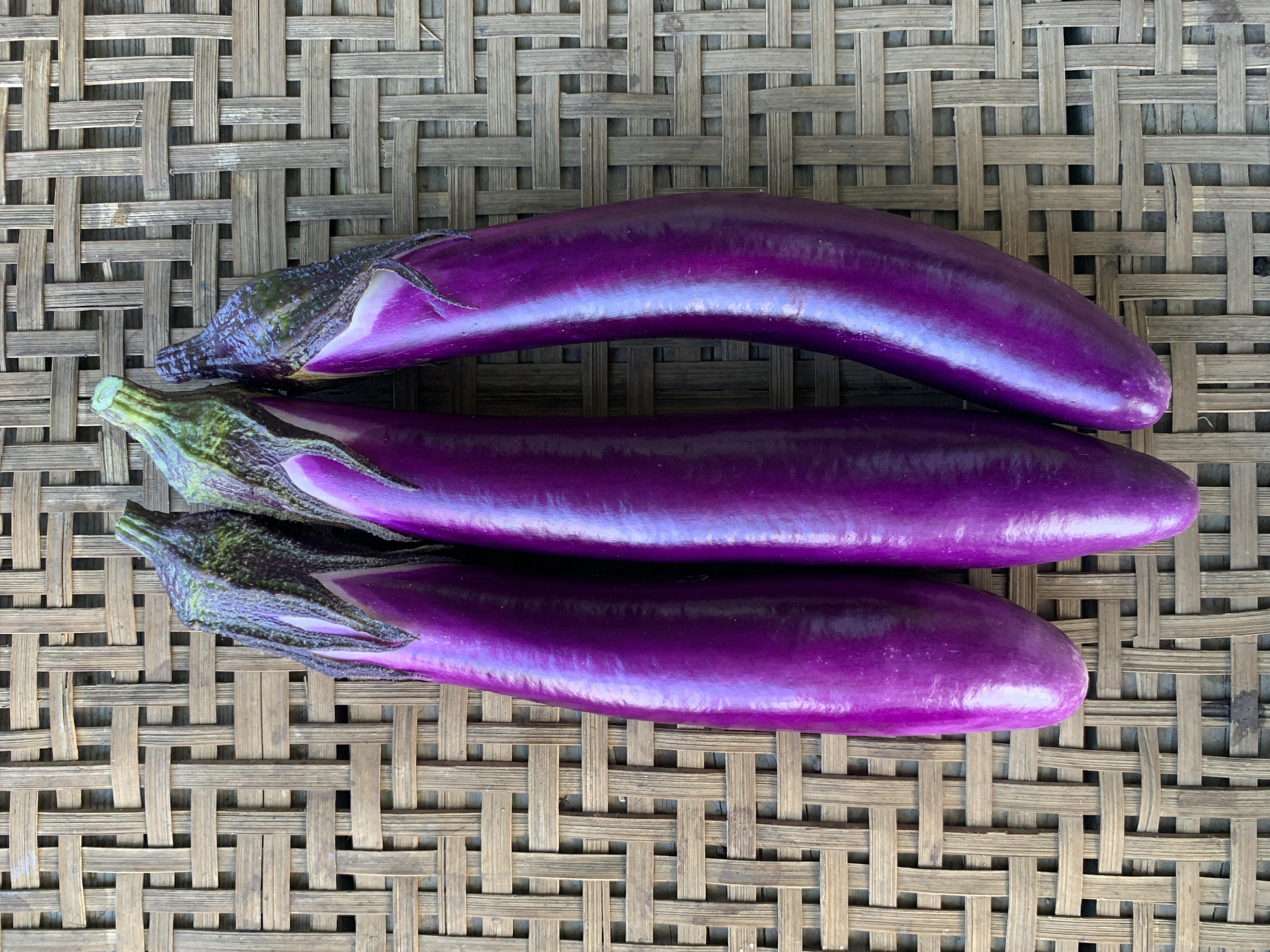 image?filename=0d775956-a2b5-