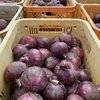 やさいバス/アーリーレッド 1kg 3玉入