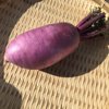 やさいバス 山田さんの紫大根 京むらさき