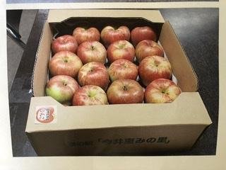 やさいバス/今井恵みの里のこだわりりんごシリーズ5kg(16～18個)【2箱