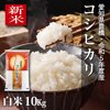令和6年度 コシヒカリ 長野県産　14キロ　古米　精白米 やさいバス/【新米】令和5年愛知県産 コシヒカリ白米10kg