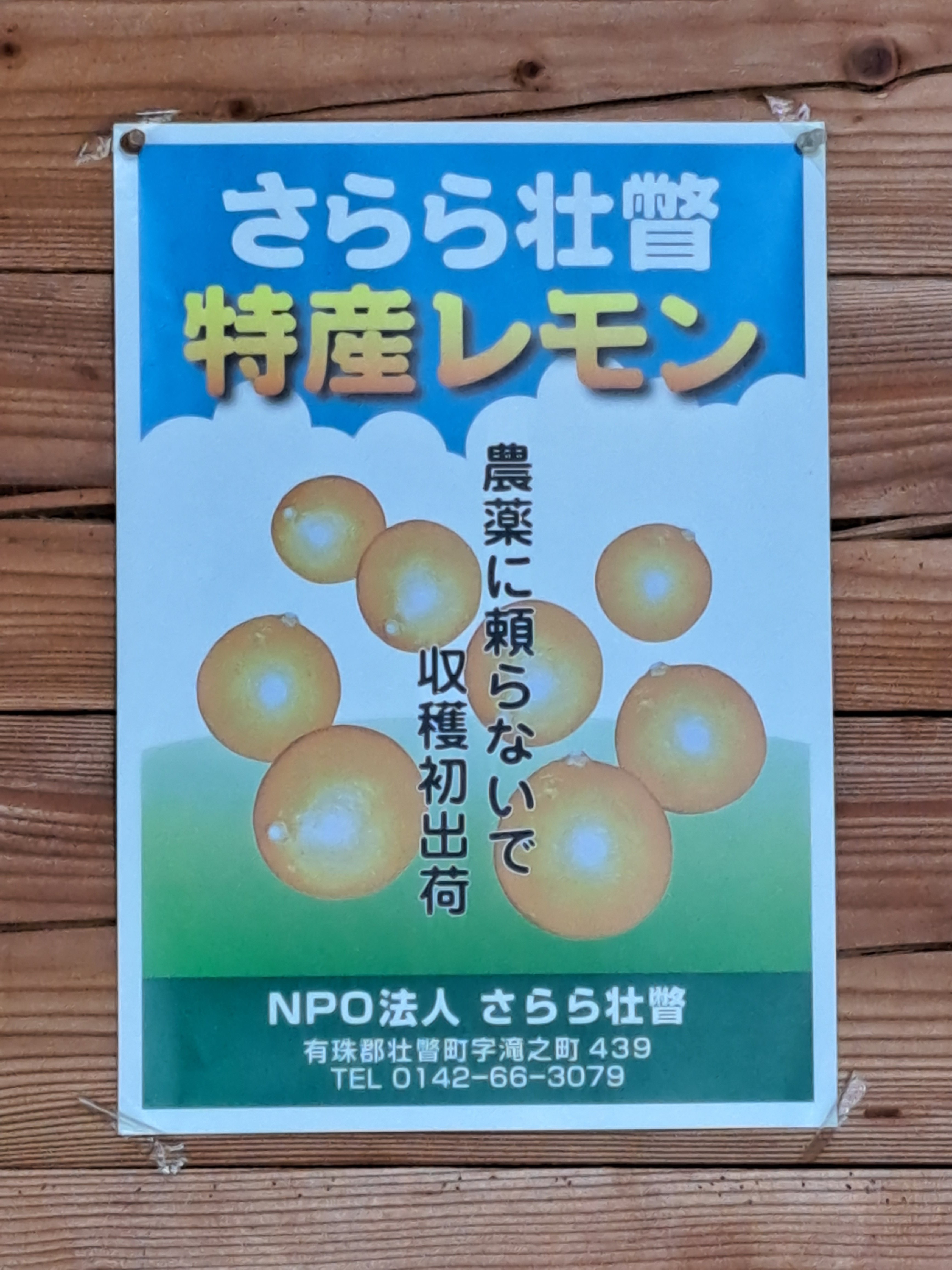 やさいバス/北海道産レモン 1kg入り 大きさ不揃い