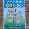 やさいバス/北海道産レモン 1kg入り 大きさ不揃い