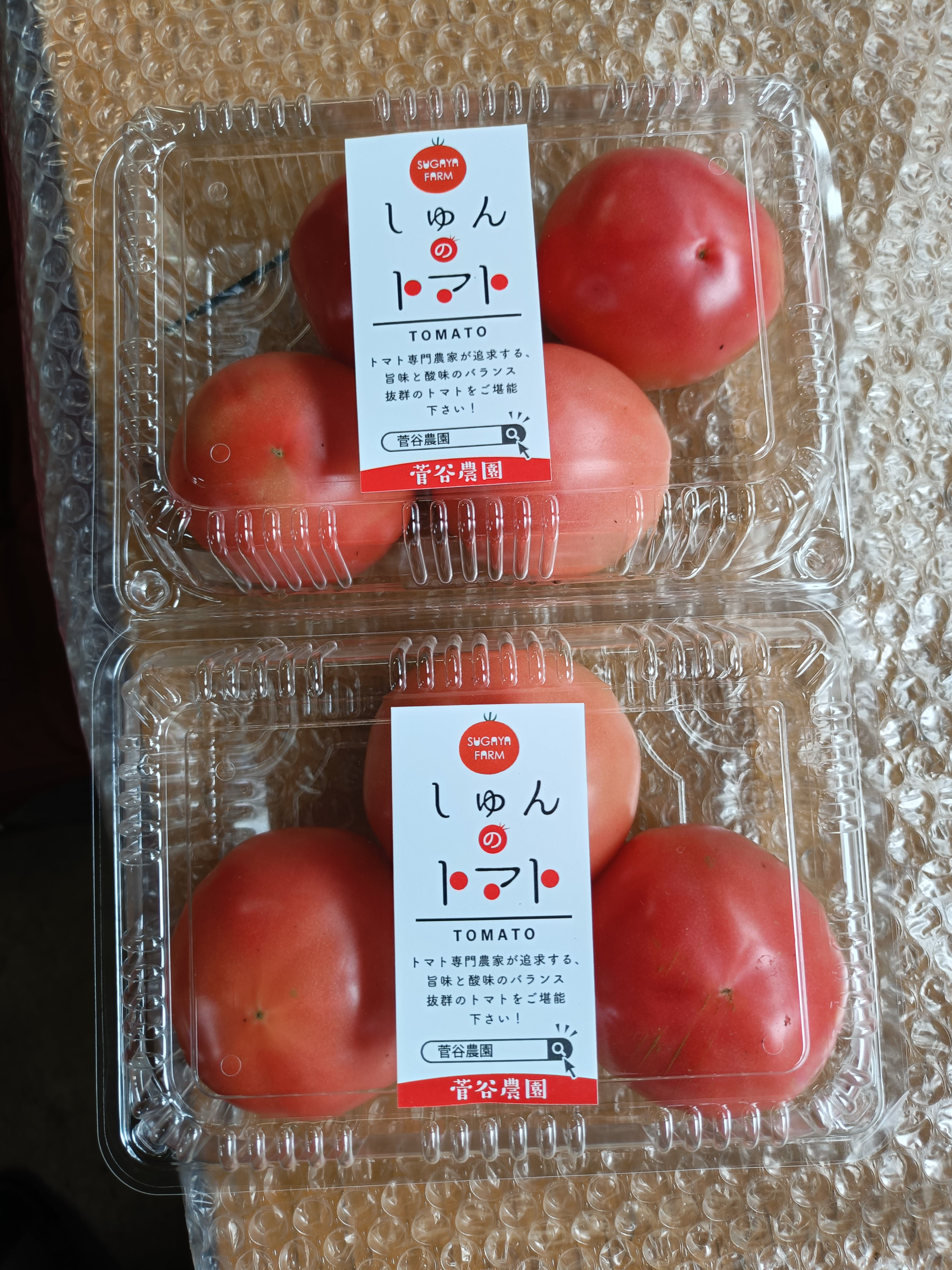 やさいさん専用　ミニトマト9kg やさいバス/しゅんのとまと