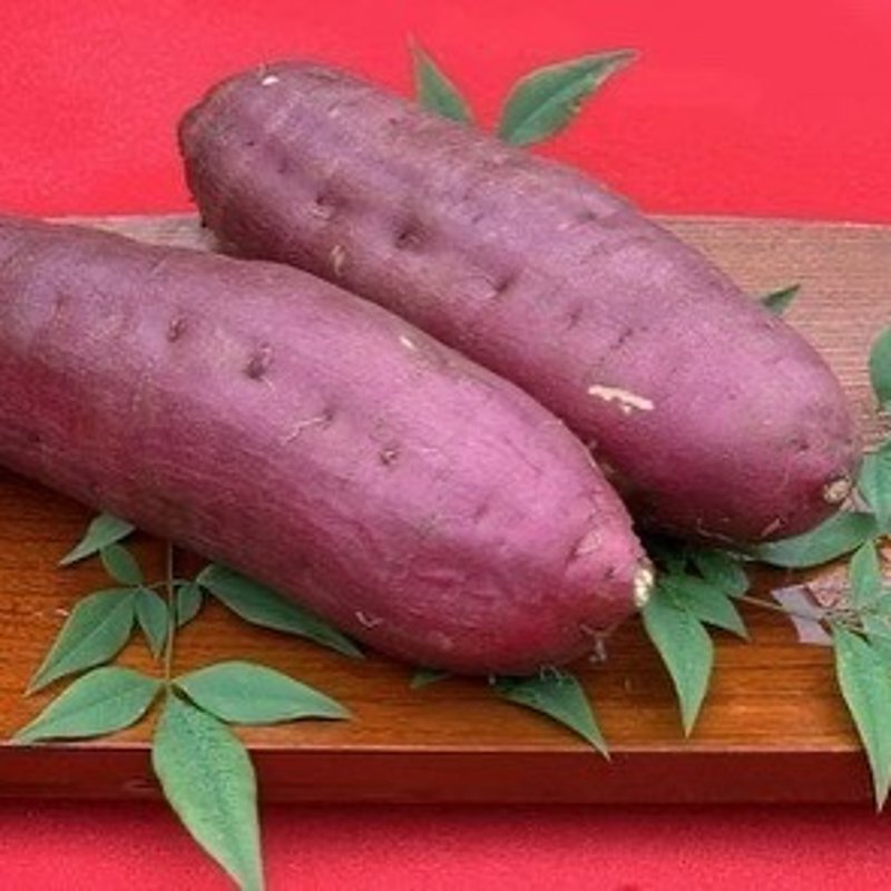 やさいバス/熟成干し芋 紅はるか 丸干し