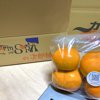 やさいバス/Farm SORAの次郎柿 （規格外品）袋詰め1kg