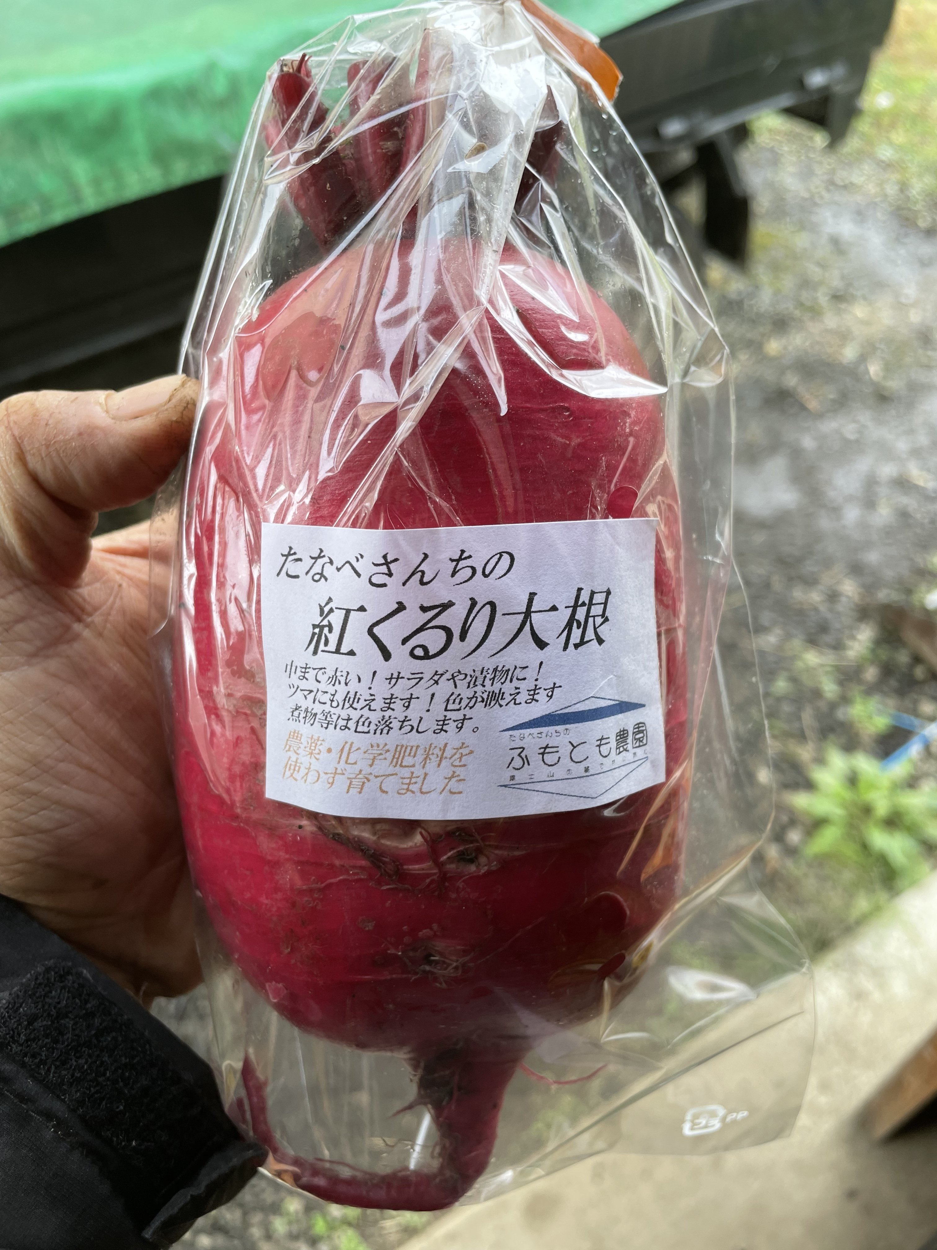 【有機JAS認証】有機紅くるり大根 10キロ　香川県産 image?filename=a9552471-df3f-