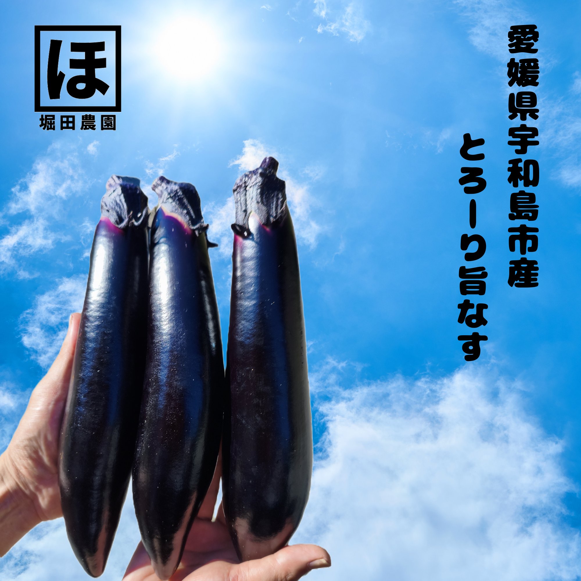 やさいバス/ふわとろ長ナス