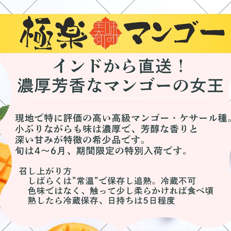 やさいバス/【やさいバス直輸入】インド産・極楽マンゴー（ケサール