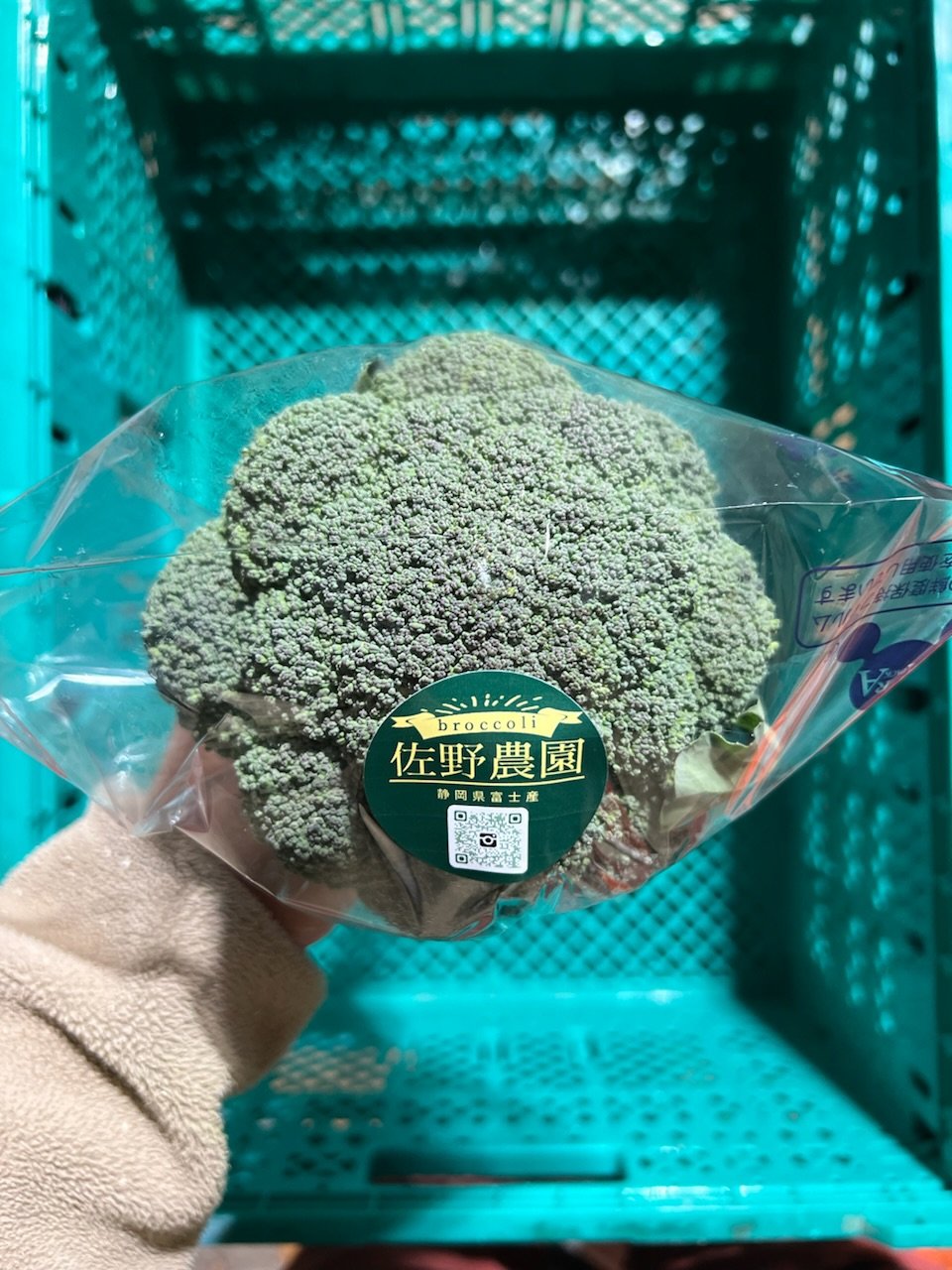 ブロッコリー やさいバス/【佐野農園】ブロッコリー Lサイズ