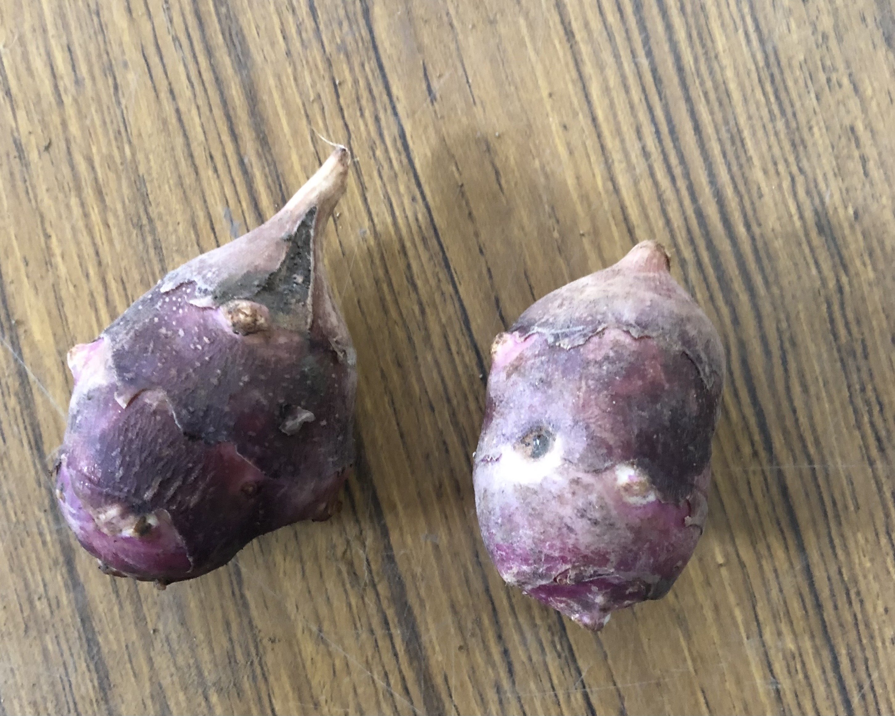 やさいバス/北海道江別産 菊芋 300g（袋入り）