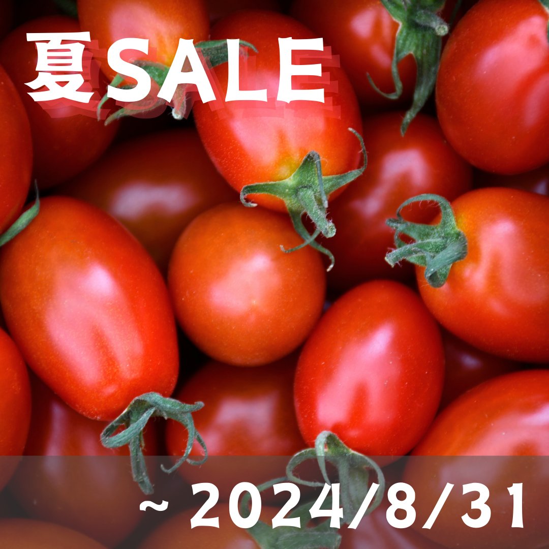 ミニトマト「アイコ」3kg！北海道産 常温便発送 やさいバス/【SALE】北海道産有機ミニトマト「アイコ」3kg