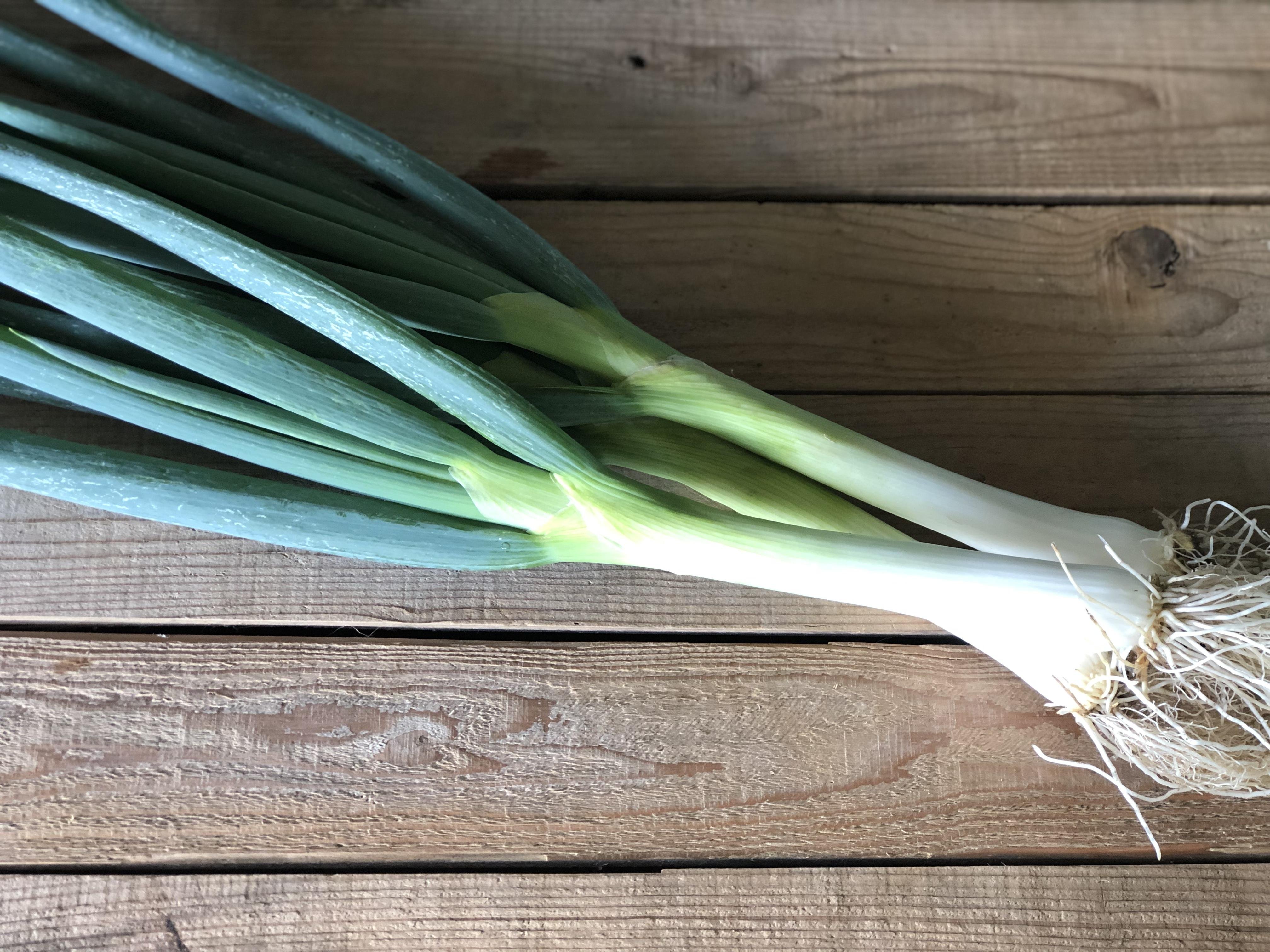 ねぎ やさいバス/上品な香り高さ！絶品九条ねぎ！1kg