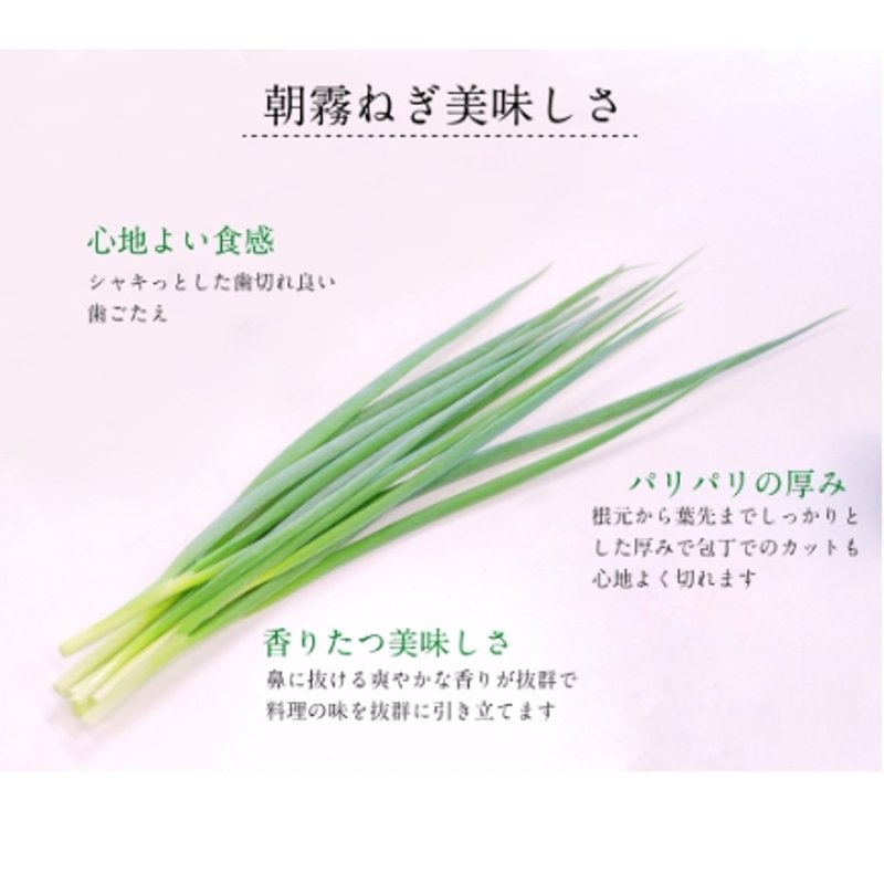 やさいバス/青ネギ