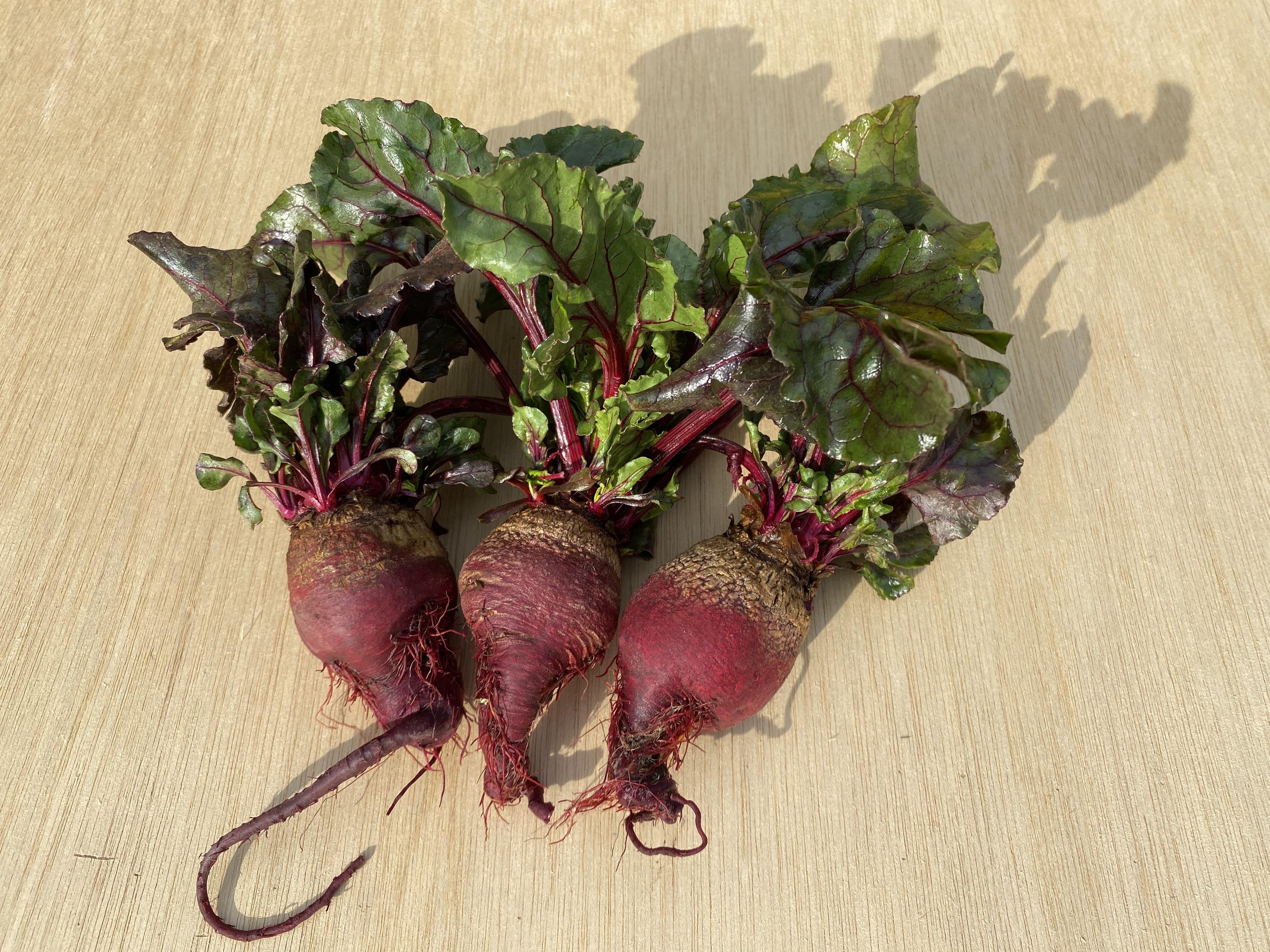 やさいバス/【湘南薬膳野菜】〜栄養豊富で絶品！小巻さんの 唯一無二の