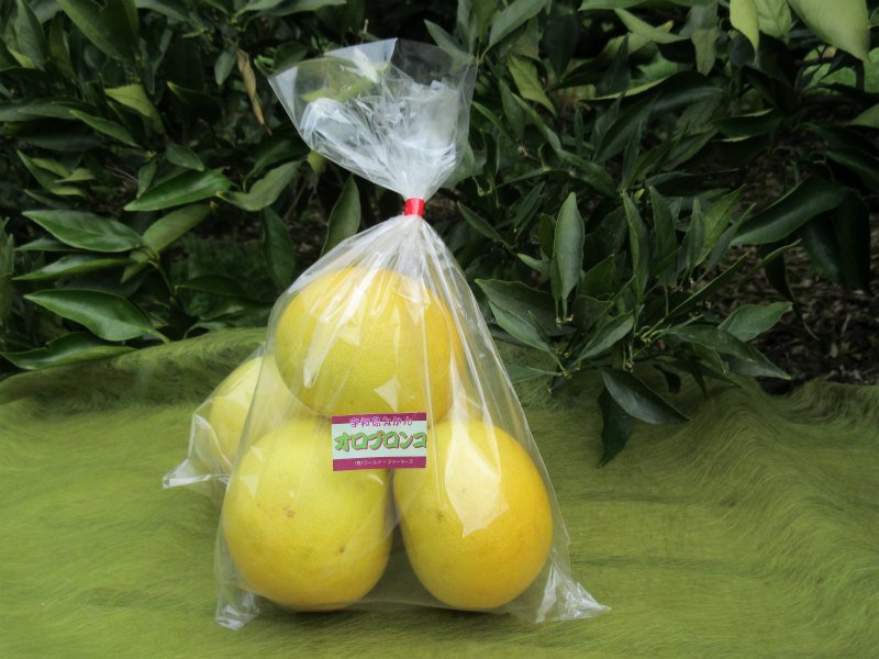 やさいバス/オロブロンコ