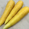 やさいバス/にんじん（金美） 400g/袋入り