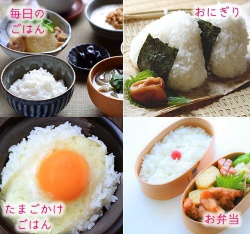 広島県産 世羅産 令和6年 コシヒカリ 令和6年度産新米 世羅産コシヒカリ 5kg（特別栽培米） | 末広米穀