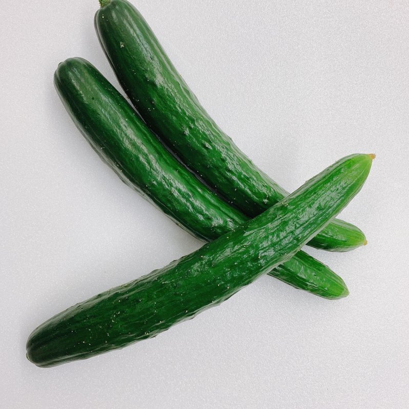 やさいバス/鳥取県産 夏秋きゅうり 5K