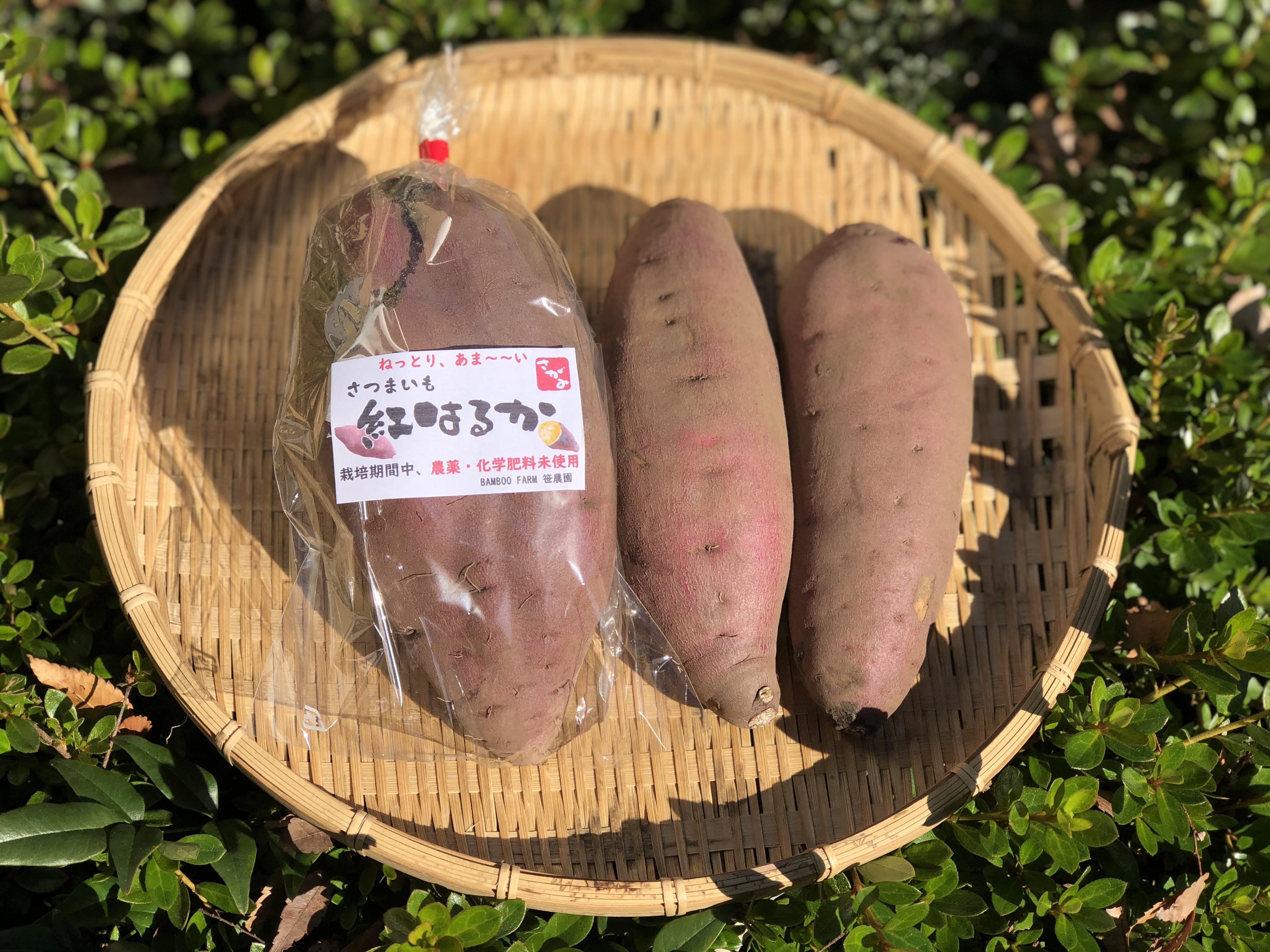 image?filename=12335a3f-1164-