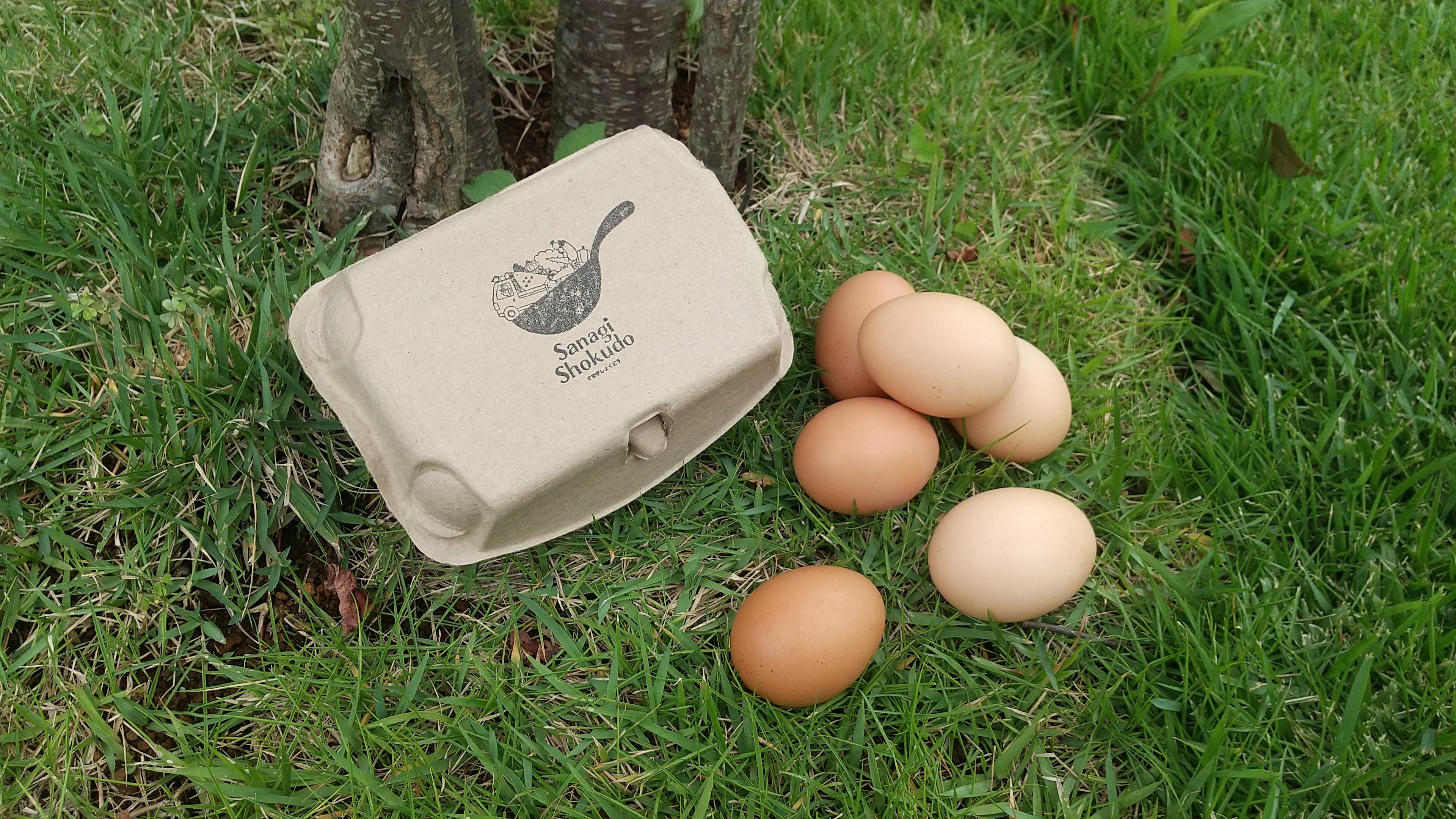 やさいバス/放し飼い鶏の有精卵