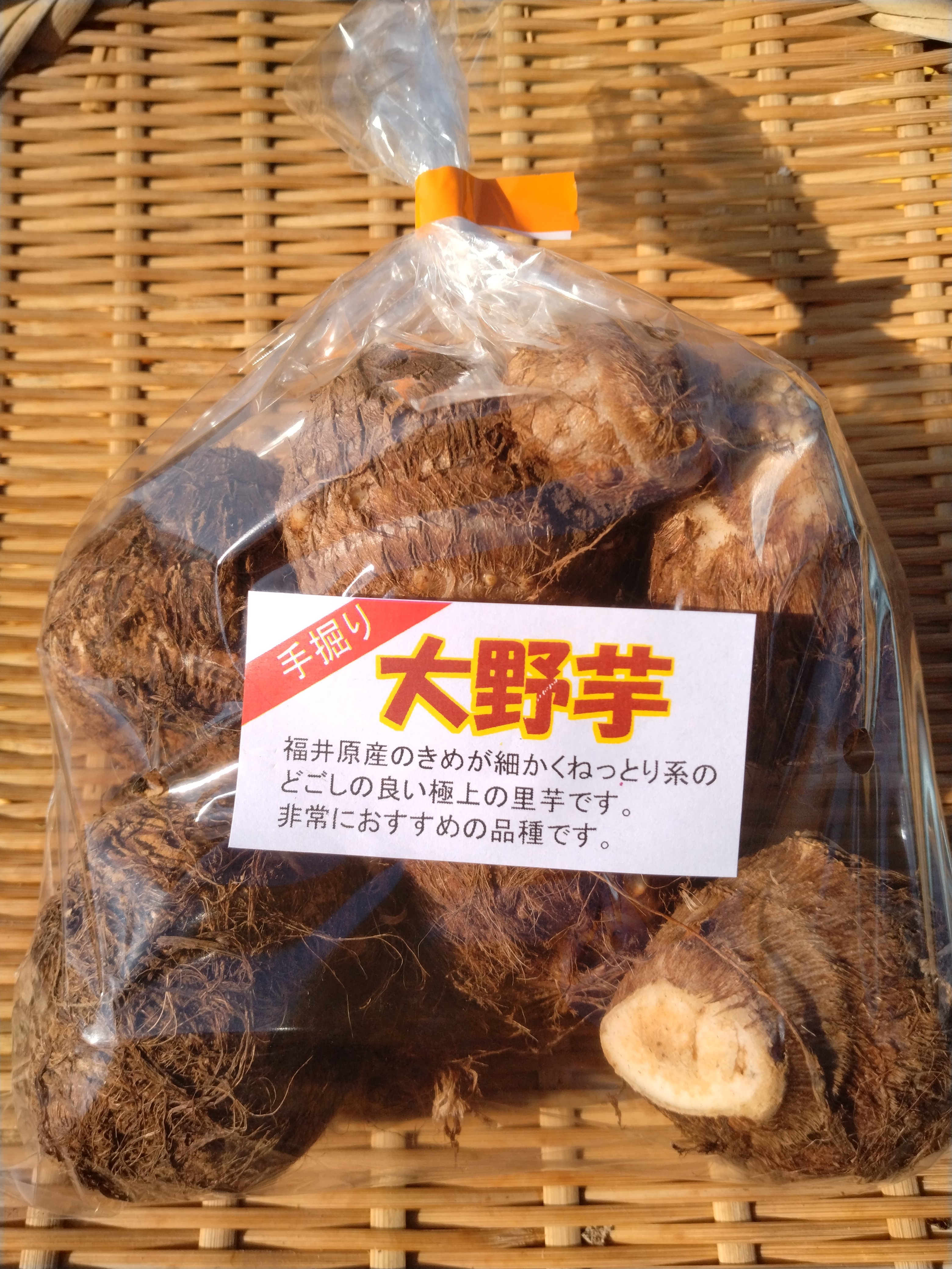 やさいバス/【小売店舗様向け】さといも（大野芋）500g/袋