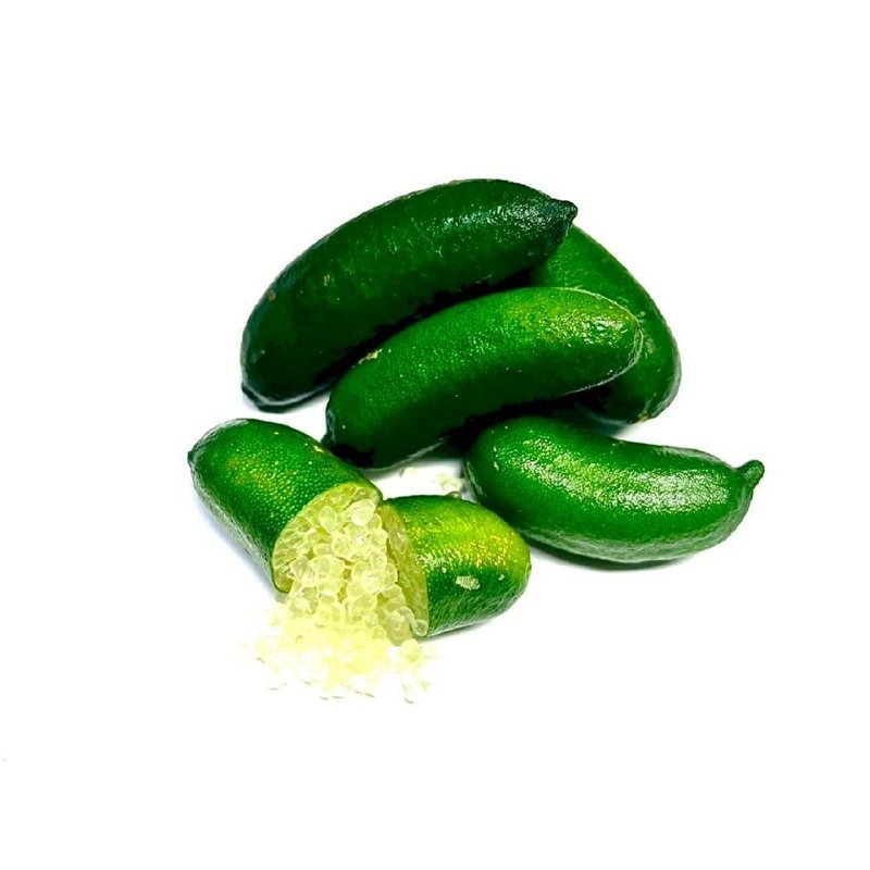 やさいバス/フィンガーライム-グリーン3~4個(約50g)