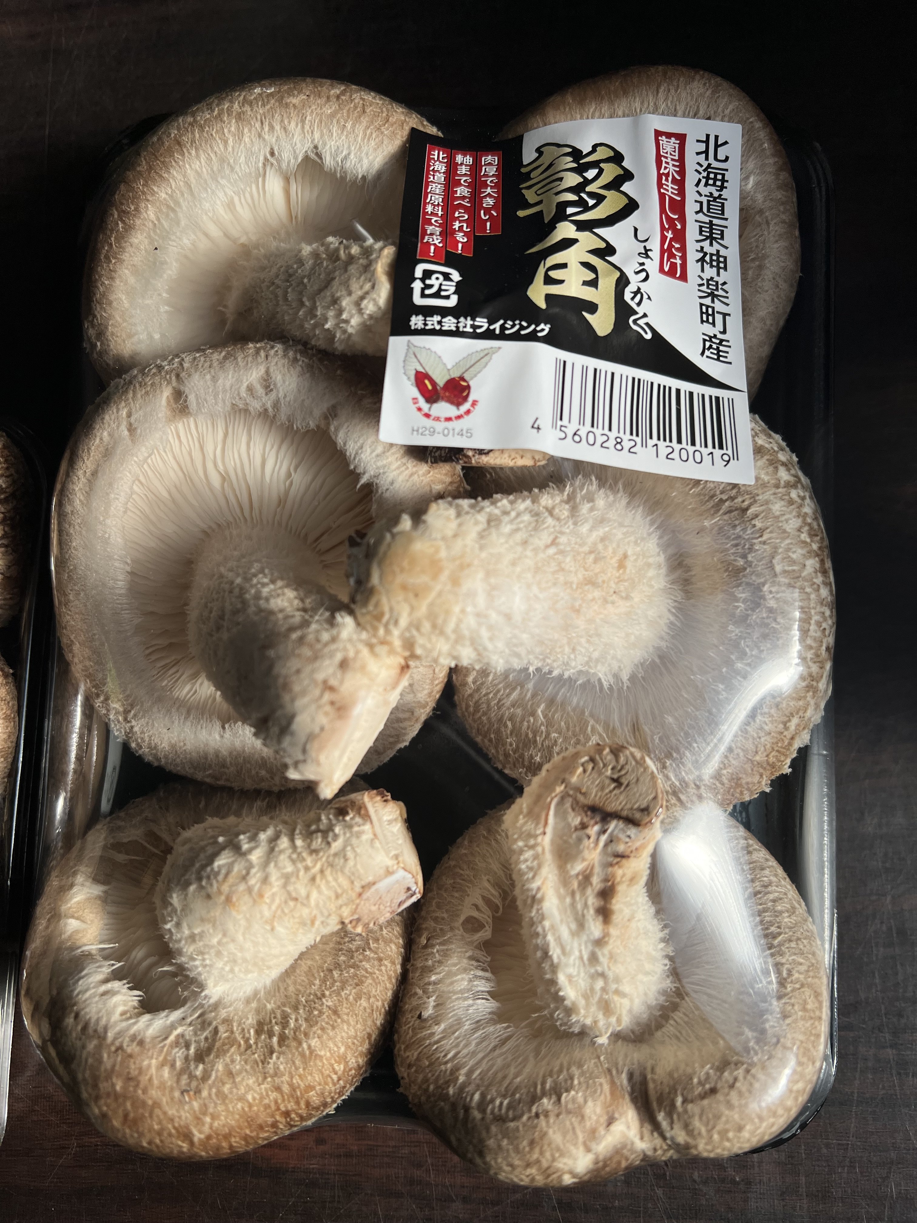 やさいバス/ジャンボステーキしいたけ