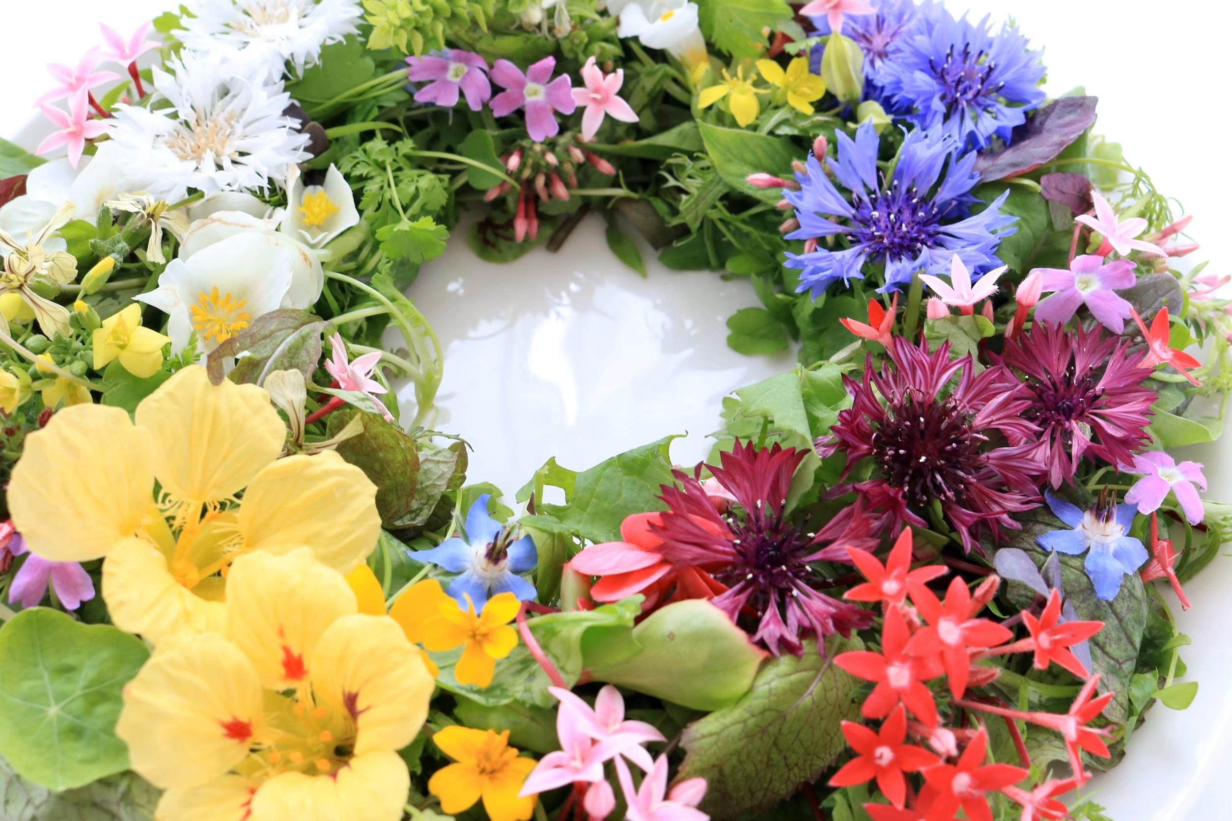 やさいバス/エディブルフラワーミックス（大）