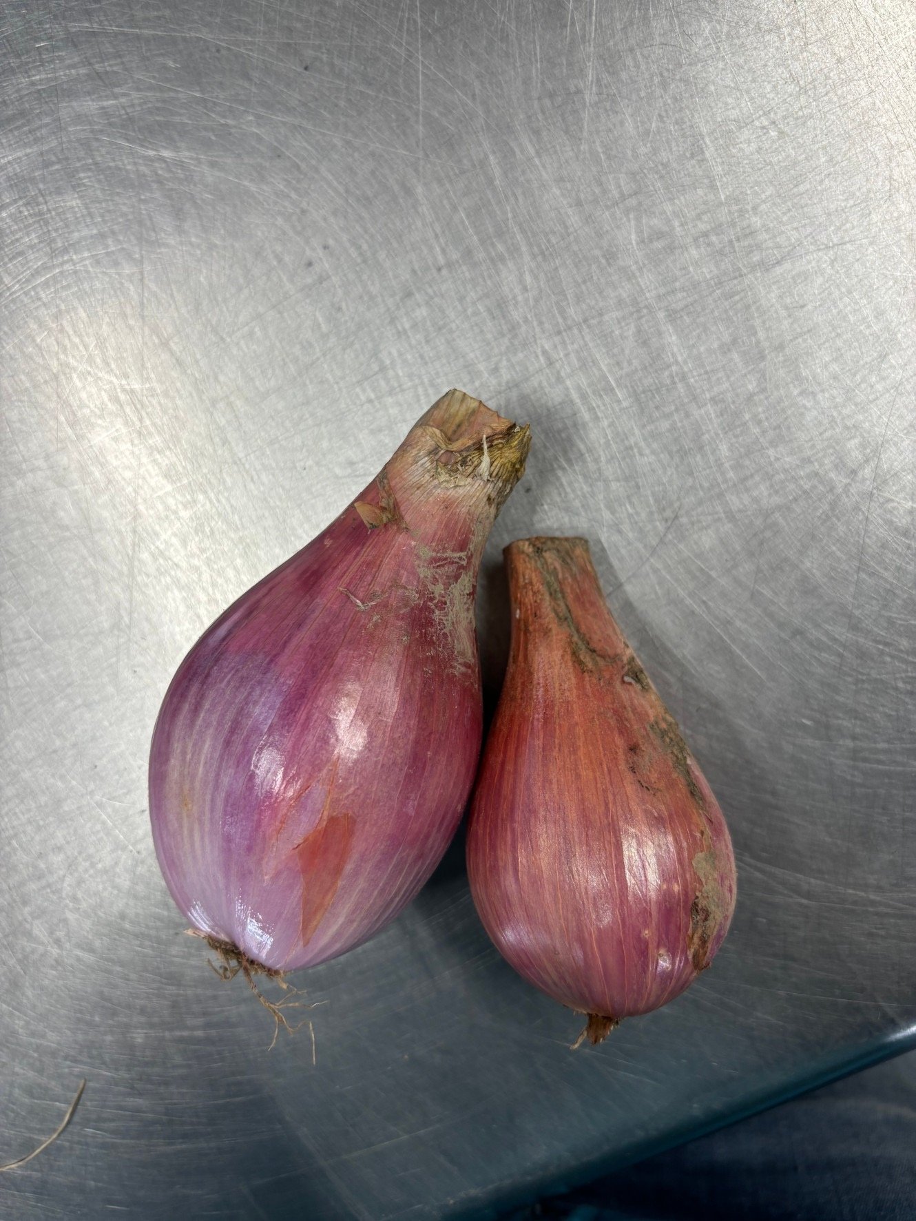 ✏おいしい野菜研究室✏ エシャロット10キロ やさいバス/エシャロット 200g/袋