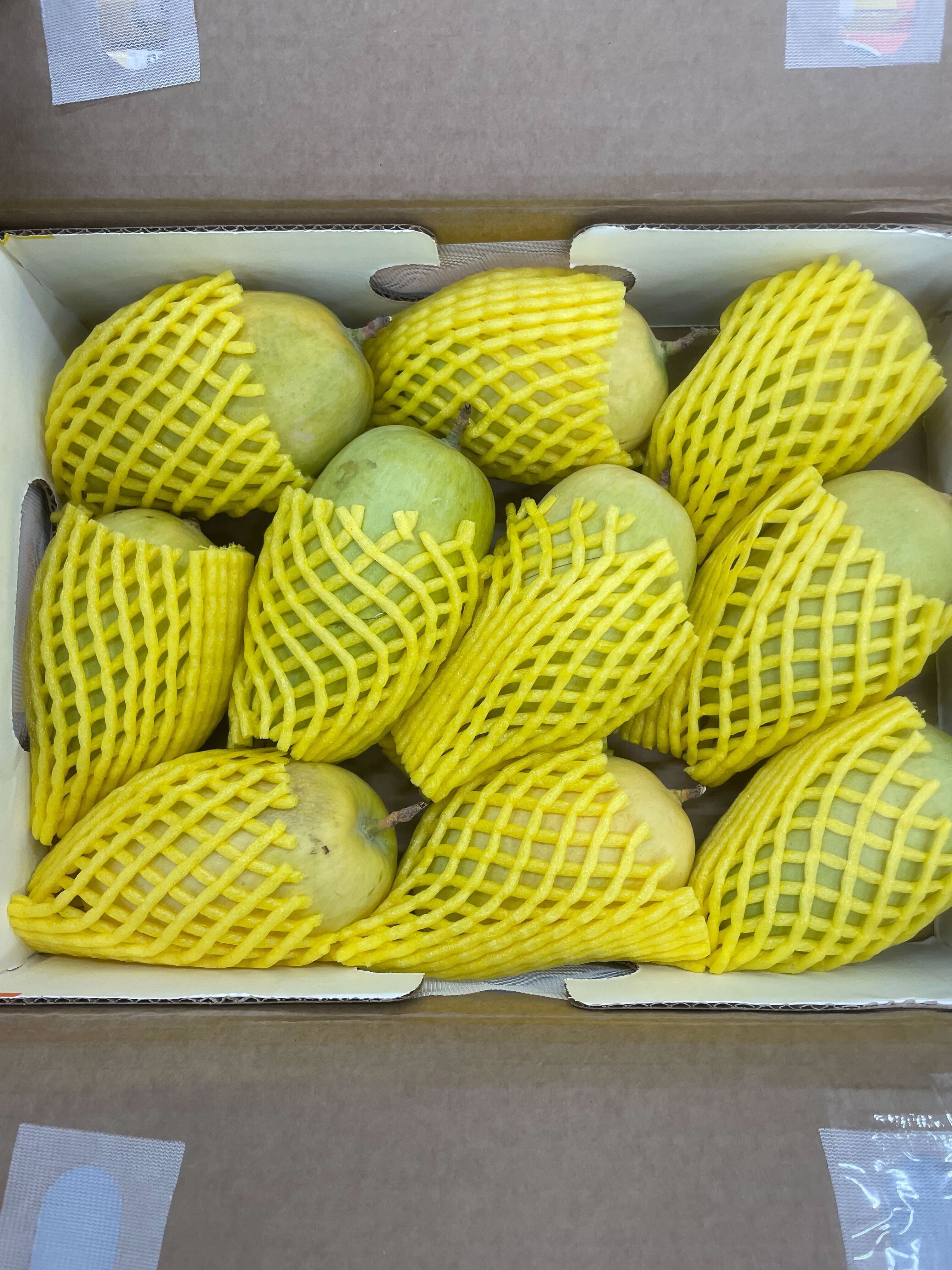 image?filename=33b41676-2fb9-