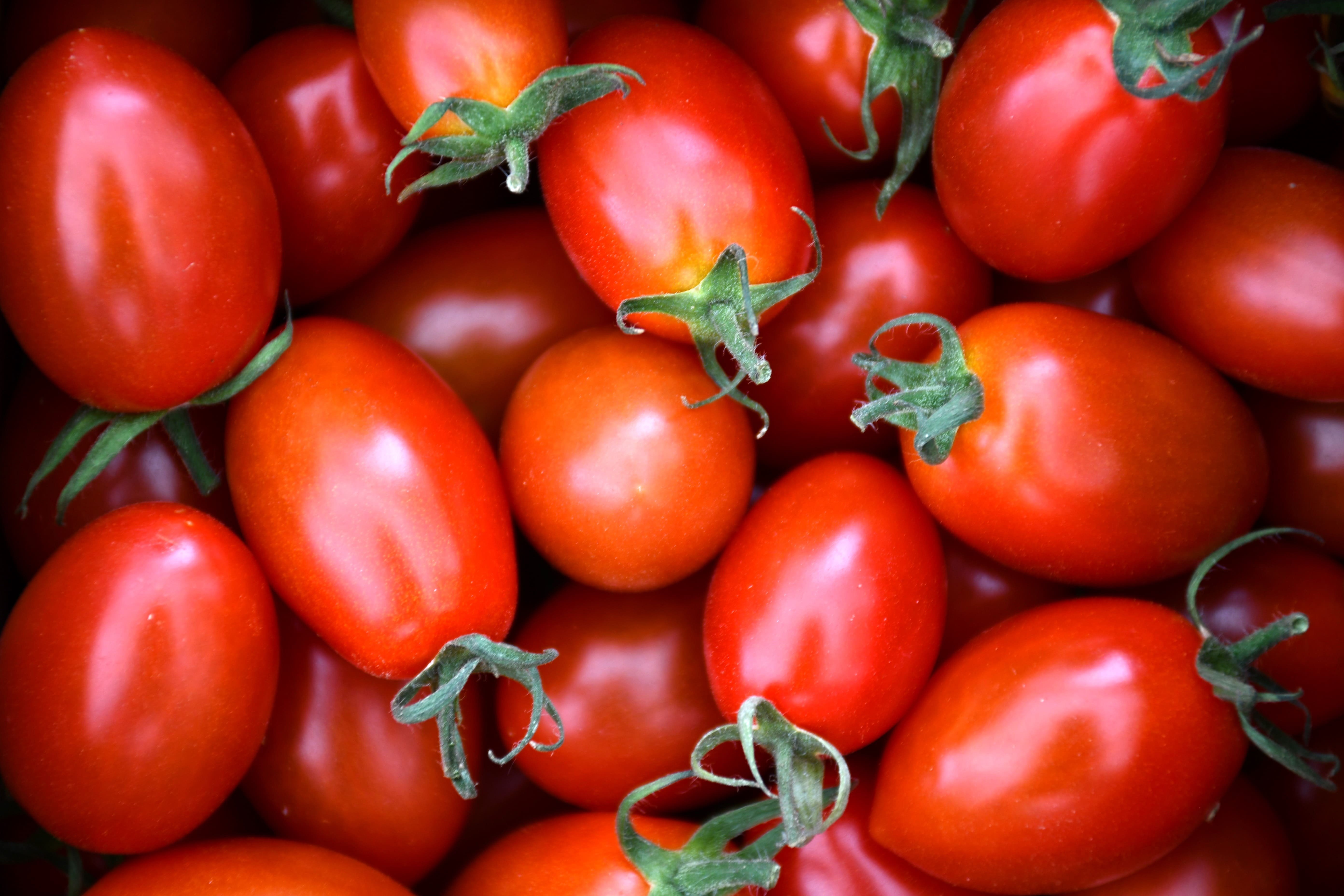 やさいバス/【有機JAS】「アイコ」3kg