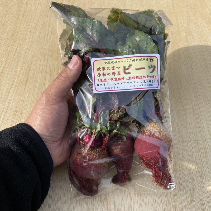 やさいバス/【湘南薬膳野菜】〜栄養豊富で絶品！小巻さんの 唯一無二の