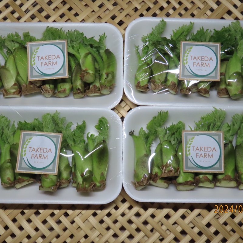 楽天市場】【国産 天然】たらの芽300g 採りたてを産直