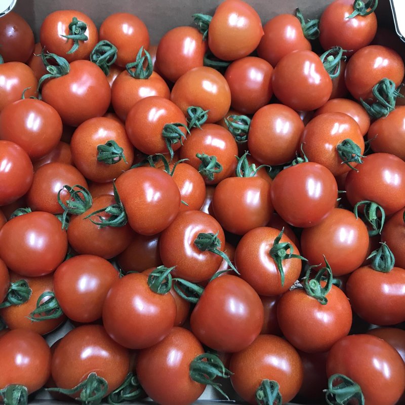 やさいバス/川上農園人気No.1ミニトマト「アルル」