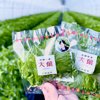 大葉農園 やさいバス/大葉 15g