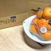やさいバス/Farm SORAの次郎柿 （規格外品）袋詰め2kg