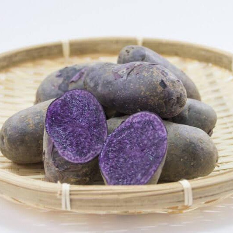 やさいバス/越冬じゃがいも シャドークイーン（Sサイズ） 500g/袋入り
