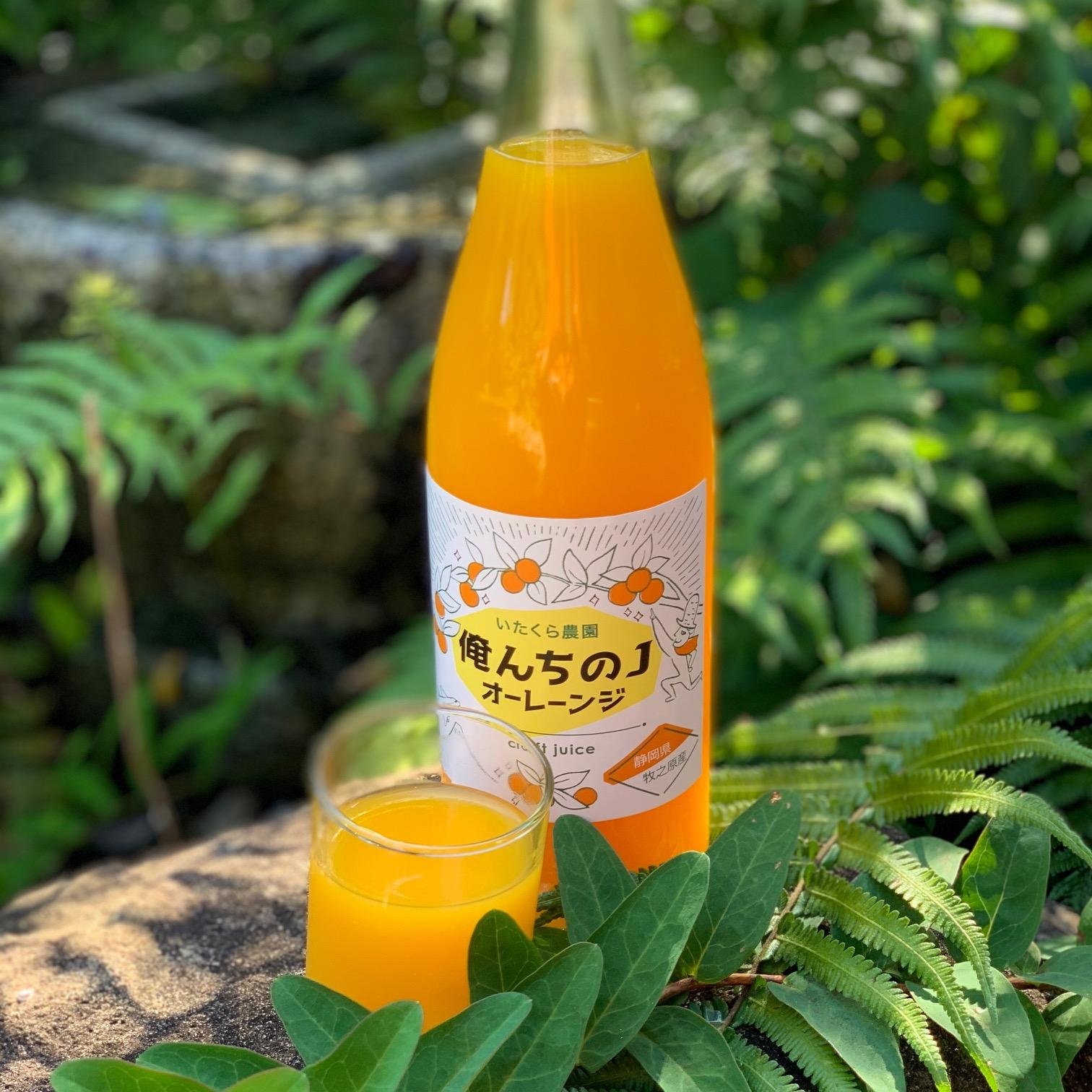やさいバス/静岡牧之原産 早生みかん 小袋
