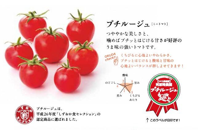やさいバス/「プチルージュ」20パックセット（全国発送可）