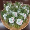 やさいバス 森島農園 生で食べる小松菜 サラダ小松菜ぷち 50ｇ入 10袋 １ケース