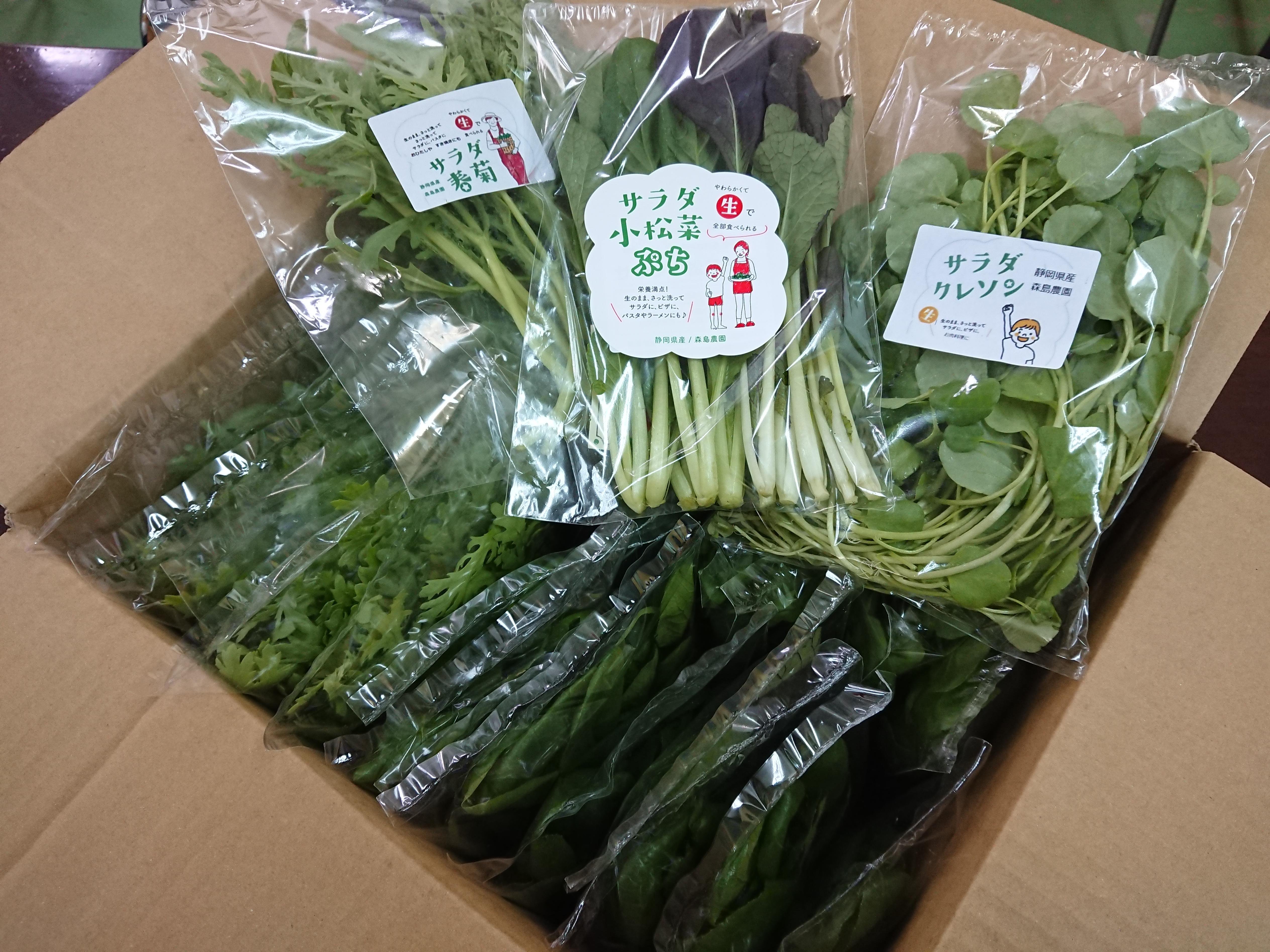 サッシーさん専用【森の菊芋農園】10パック 楽天市場】菊芋の通販