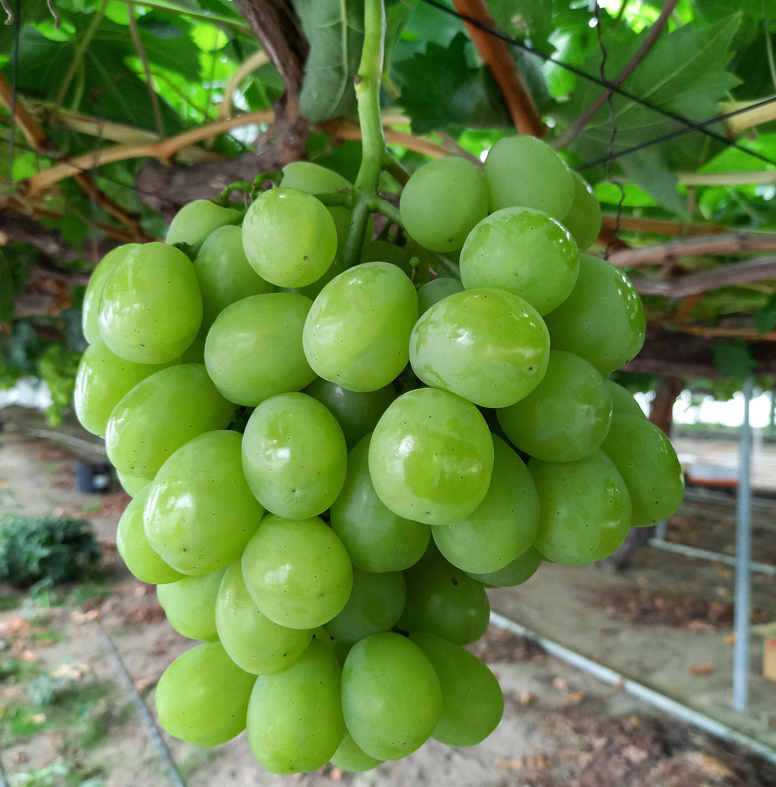 image?filename=5b3e52ec-71ca-