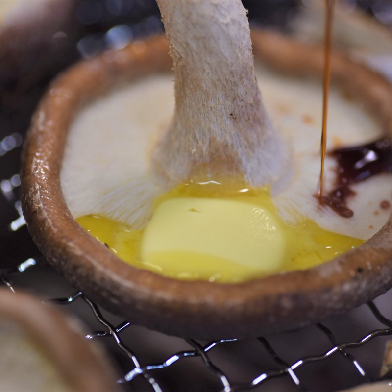 やさいバス/【手のひらサイズの肉厚椎茸】福王しいたけ（特大サイズ/1.5kg)