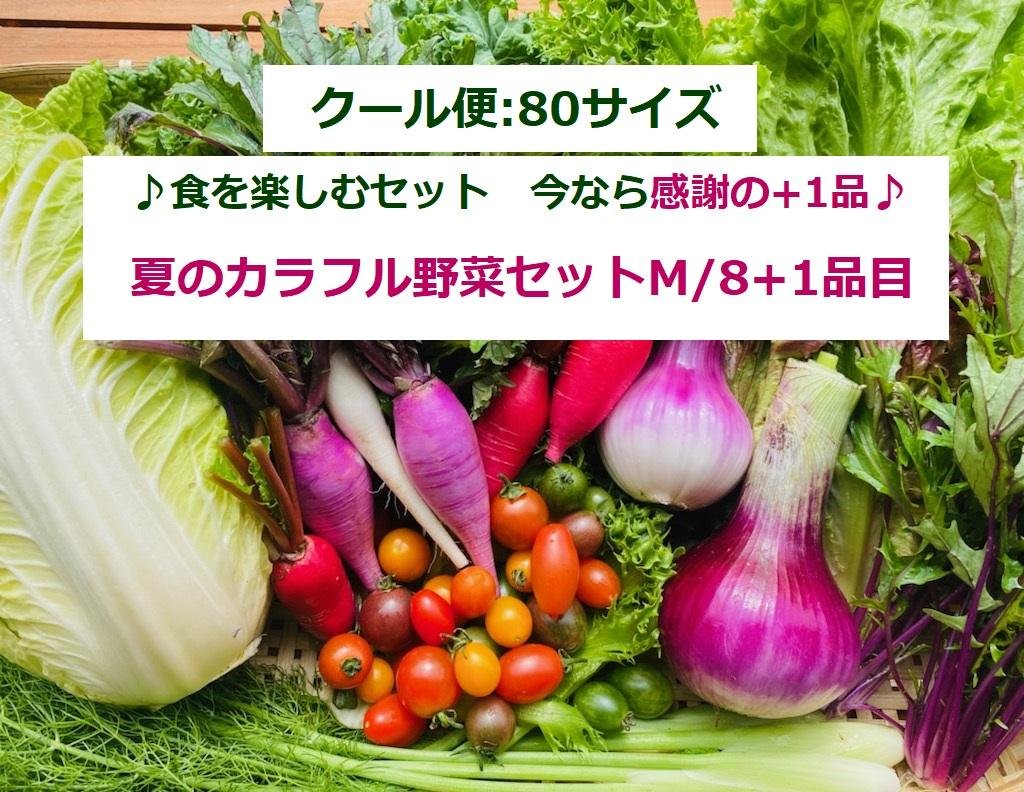 やさいバス/たてやまかおり菜園『夏のカラフル野菜セットM8+1品目』