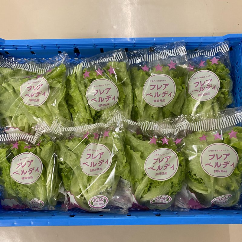 やさいバス/フレアベルディ(リーフレタス)
