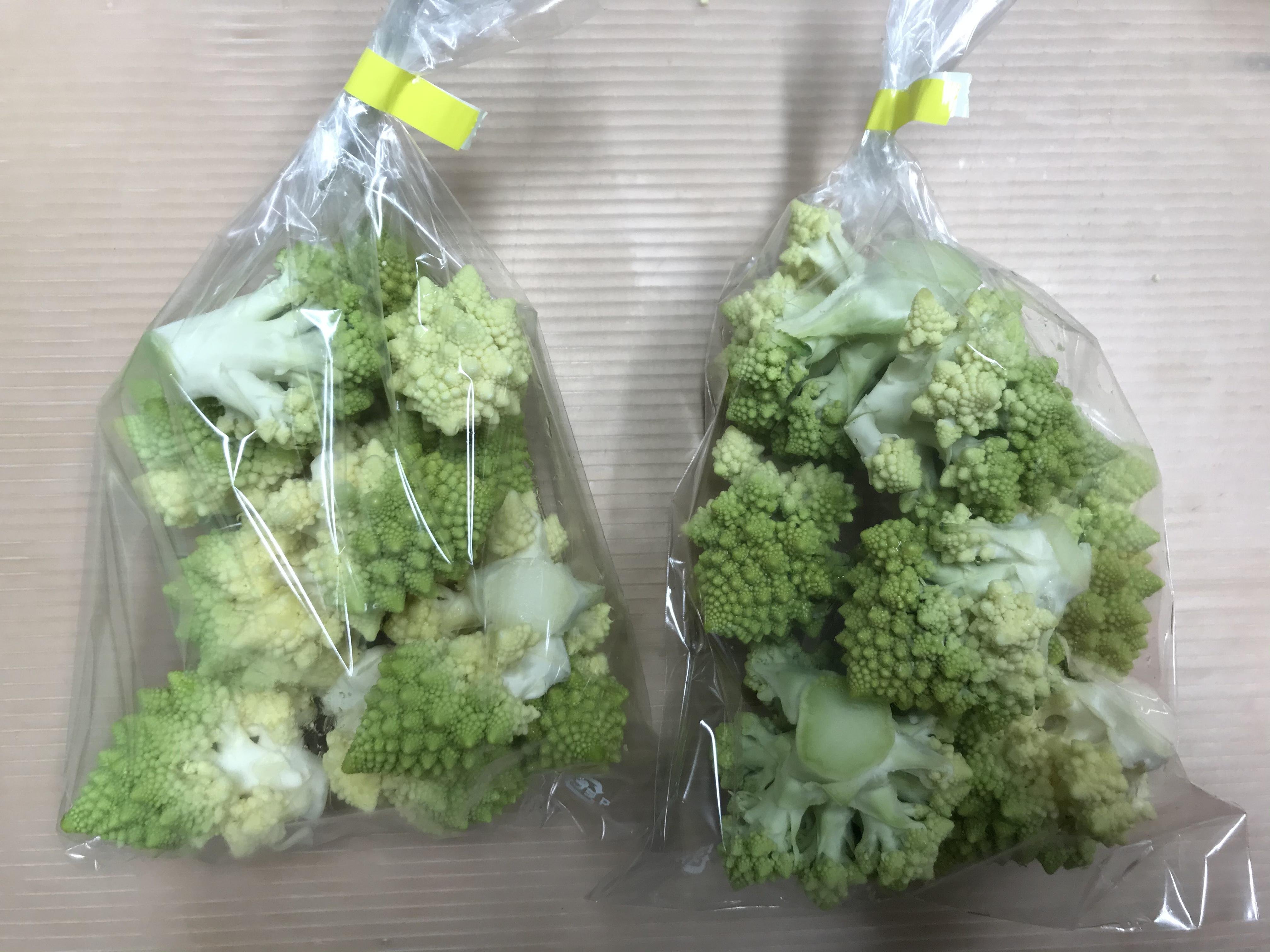 やさいバス 世界一美しい野菜 ロマネスコ バラ300g