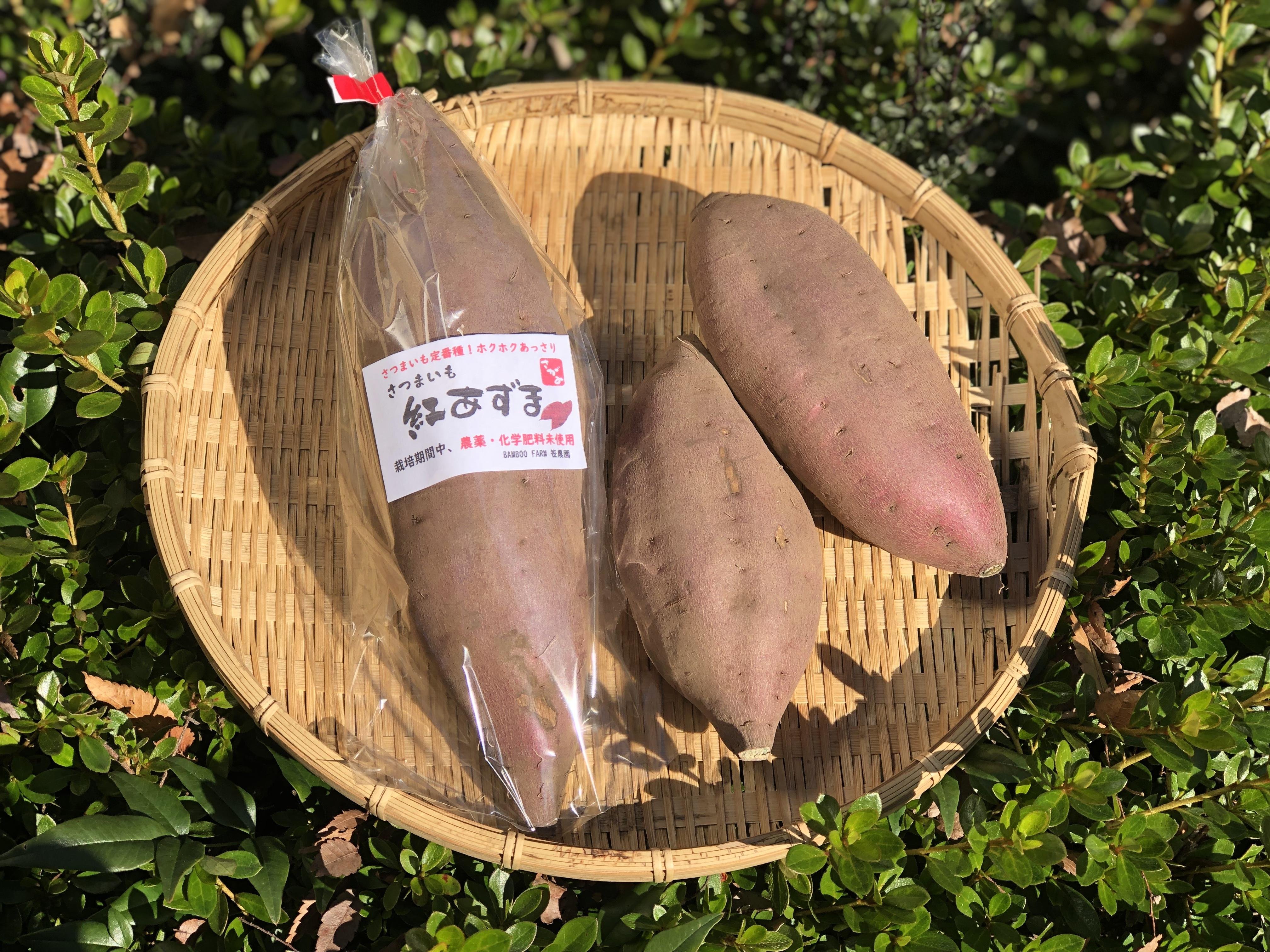 【再入荷】 やさいバス/さつまいも「紅あずま」/ 無農薬・無化学肥料 野菜
